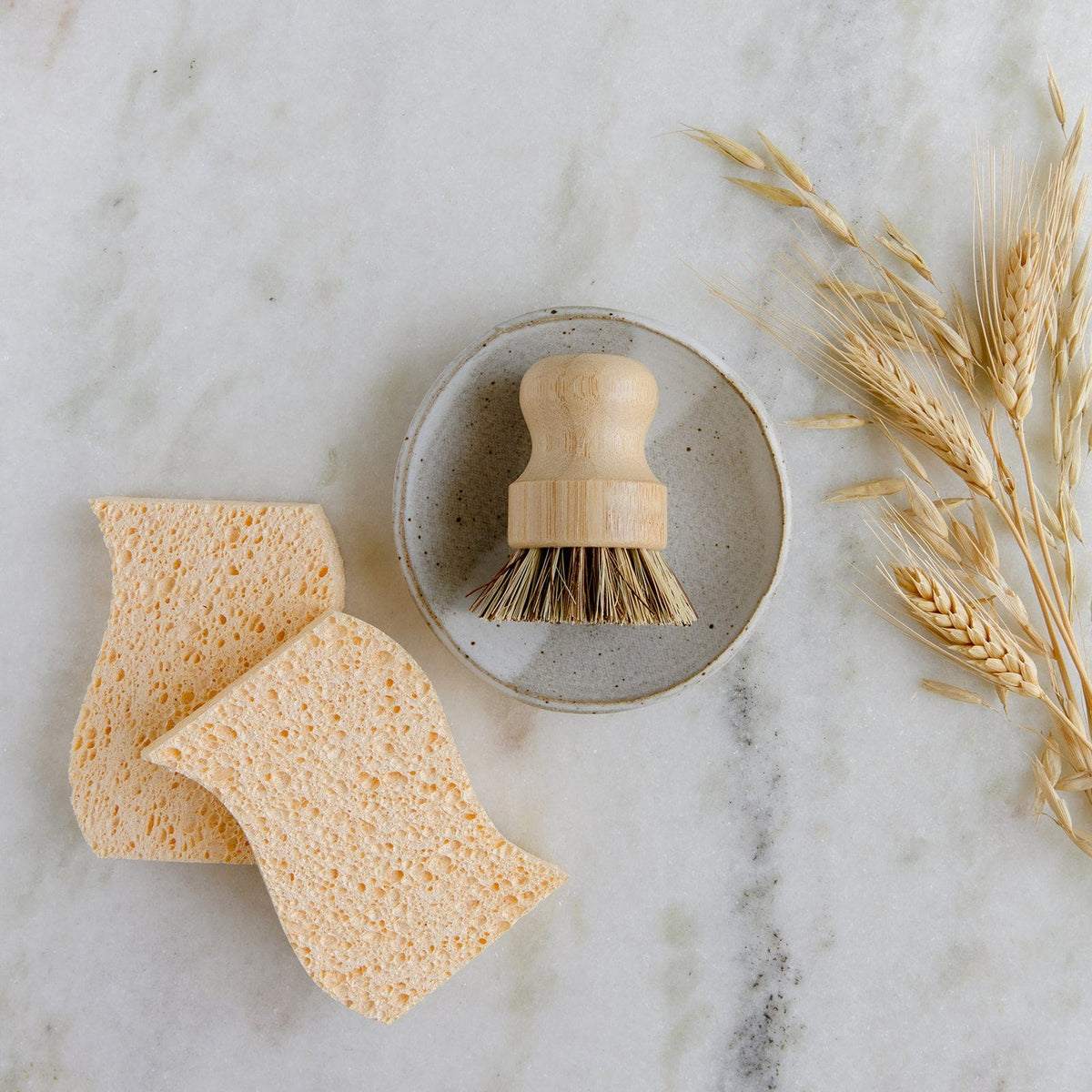Dish Sponge Mini Kit | Pride Fans®